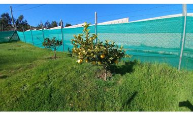 SE VENDE ACOGEDORA PARCELA EN LOS LAURELES