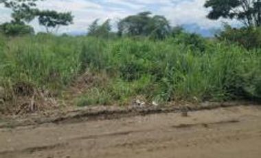 Terreno en  la Calle Tercera Longitudinal, Sector Lotización Sara Cavero El Oro . Santa Rosa 200 m2