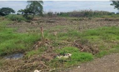 Terreno en  la Calle Tercera Longitudinal, Sector Lotización Sara Cavero El Oro . Santa Rosa 200 m2