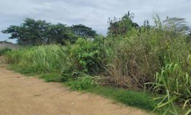 Terreno en  la Calle Tercera Longitudinal, Sector Lotización Sara Cavero El Oro . Santa Rosa 200 m2