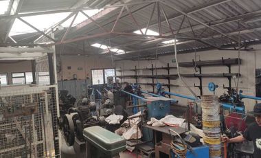 Local comercial en renta Colonia Algarin