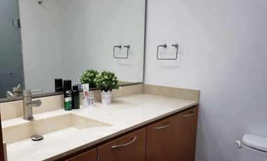 Departamento en Renta en Plaza Carso, Ampliación Granada, Miguel Hidalgo, Cdmx