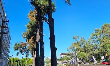 Departamento en Canning (Ezeiza)