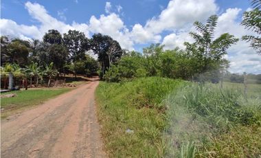 Se vende finca de 6.5 hectáreas en La Colorada, Chorrera