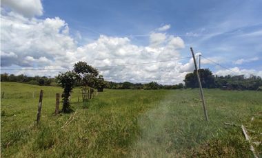 Se vende finca de 6.5 hectáreas en La Colorada, Chorrera