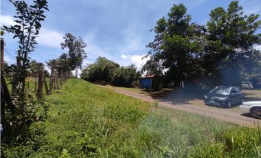 Se vende finca de 6.5 hectáreas en La Colorada, Chorrera