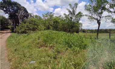 Se vende finca de 6.5 hectáreas en La Colorada, Chorrera