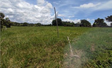 Se vende finca de 6.5 hectáreas en La Colorada, Chorrera
