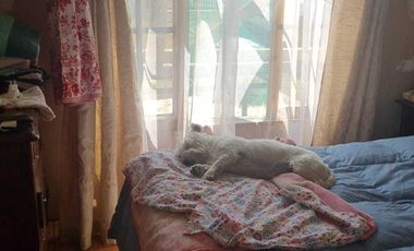 Parcela en venta en PARRAL