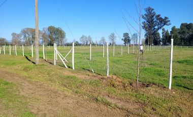 Parcela en venta en CHILLÁN