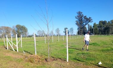 Parcela en venta en CHILLÁN