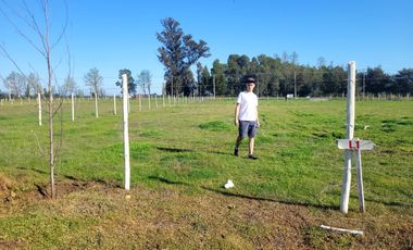 Parcela en venta en CHILLÁN