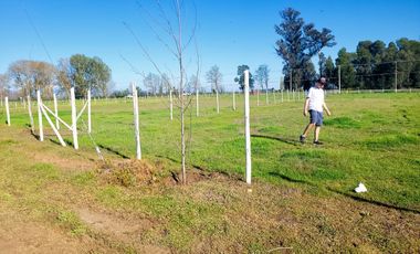 Parcela en venta en CHILLÁN