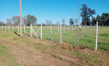 Parcela en venta en CHILLÁN