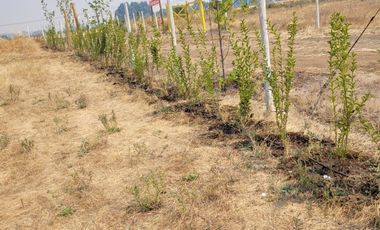 Parcela en venta en CHILLÁN