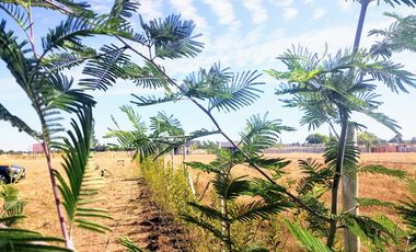 Parcela en venta en CHILLÁN