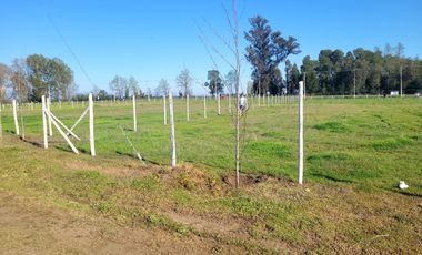 Parcela en venta en CHILLÁN