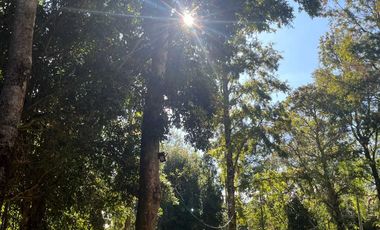 Departamento en venta en PUCÓN