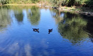 Parcela en venta en COIHUECO