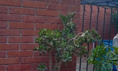 Casa en Venta en VOLCAN QUIZAPU CASI AL LLEGAR A COQUIMBO