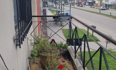 SE VENDE LOCAL Y CASA SOBRE AVDA. 520,