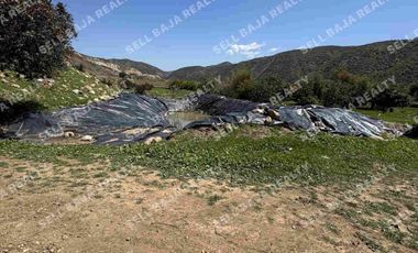 RANCHO EN VENTA EN EL MORRO, ROSARITO — ¡AMPLIO TERRENO A MINUTOS DE LA PLAYA!