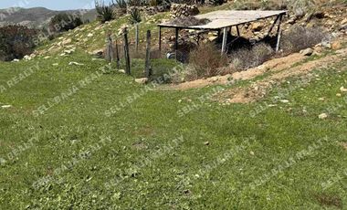 RANCHO EN VENTA EN EL MORRO, ROSARITO — ¡AMPLIO TERRENO A MINUTOS DE LA PLAYA!