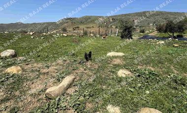 RANCHO EN VENTA EN EL MORRO, ROSARITO — ¡AMPLIO TERRENO A MINUTOS DE LA PLAYA!