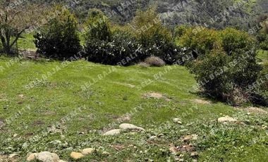 RANCHO EN VENTA EN EL MORRO, ROSARITO — ¡AMPLIO TERRENO A MINUTOS DE LA PLAYA!