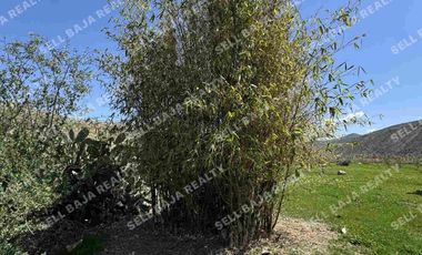 RANCHO EN VENTA EN EL MORRO, ROSARITO — ¡AMPLIO TERRENO A MINUTOS DE LA PLAYA!