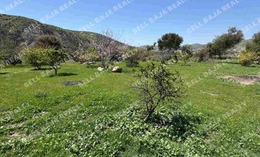 RANCHO EN VENTA EN EL MORRO, ROSARITO — ¡AMPLIO TERRENO A MINUTOS DE LA PLAYA!