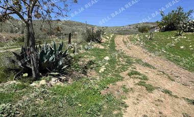 RANCHO EN VENTA EN EL MORRO, ROSARITO — ¡AMPLIO TERRENO A MINUTOS DE LA PLAYA!