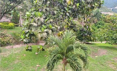 VENTA FINCA TITIRIBI,SUROESTE ANTIOQUEÑO