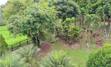VENTA FINCA AMAGA,SUROESTE ANTIOQUEÑO