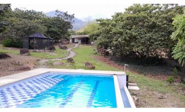VENTA FINCA LA SIRIA,SUROESTE ANTIOQUEÑO