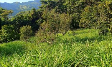 VENTA LOTE SIRIA suroeste antioqueño