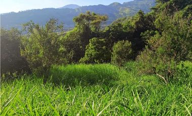 VENTA LOTE SIRIA suroeste antioqueño