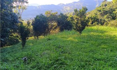 VENTA LOTE SIRIA suroeste antioqueño