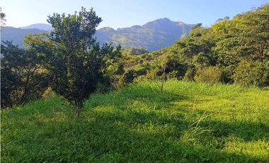 VENTA LOTE SIRIA suroeste antioqueño