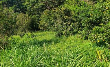 VENTA LOTE SIRIA suroeste antioqueño