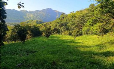 VENTA LOTE SIRIA suroeste antioqueño