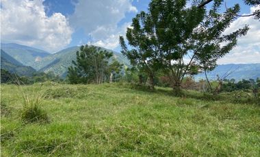 VENTA LOTE, AMAG - SUROESTE ANTIOQUEÑO