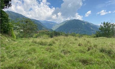 VENTA LOTE, AMAG - SUROESTE ANTIOQUEÑO