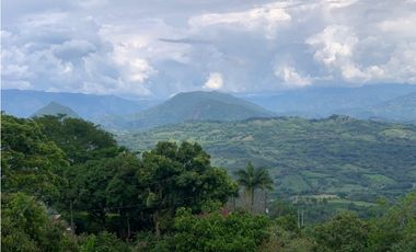 VENTA FINCA TAMESIS, SUROESTE ANTIOQUEÑO.