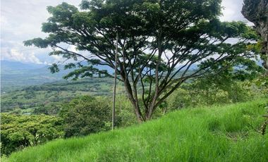 VENTA FINCA TAMESIS, SUROESTE ANTIOQUEÑO.