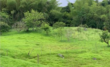 VENTA FINCA TAMESIS, SUROESTE ANTIOQUEÑO.