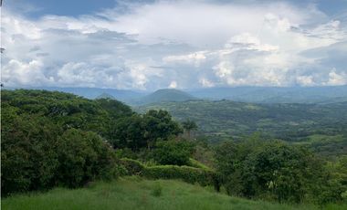 VENTA FINCA TAMESIS, SUROESTE ANTIOQUEÑO.