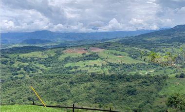 VENTA FINCA TMESIS, SUROESTE ANTIOQUEÑO