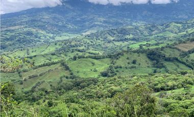 VENTA FINCA TMESIS, SUROESTE ANTIOQUEÑO