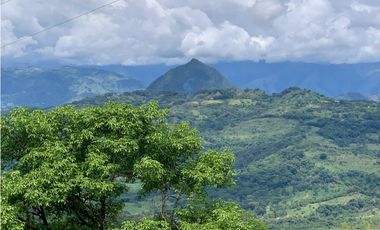 VENTA FINCA TMESIS, SUROESTE ANTIOQUEÑO